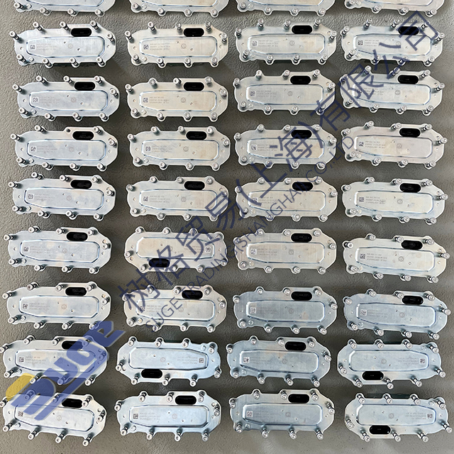 фото_20231114142855