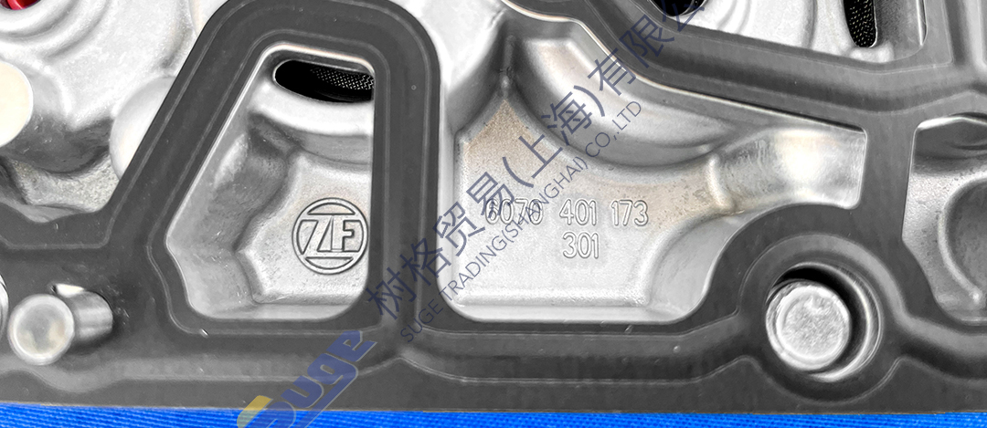 фото_20240115133136