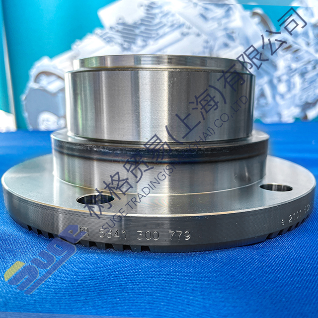 ZF раздаточная коробка VG2700 запасные части входной фланец5841 300 779
