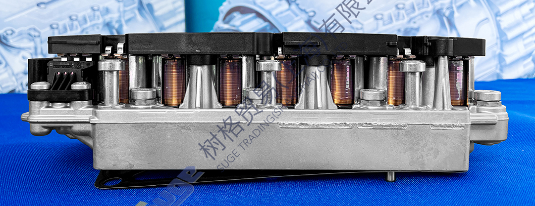 фото_20240115133124