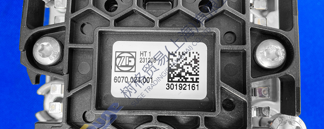 фото_20240115133113