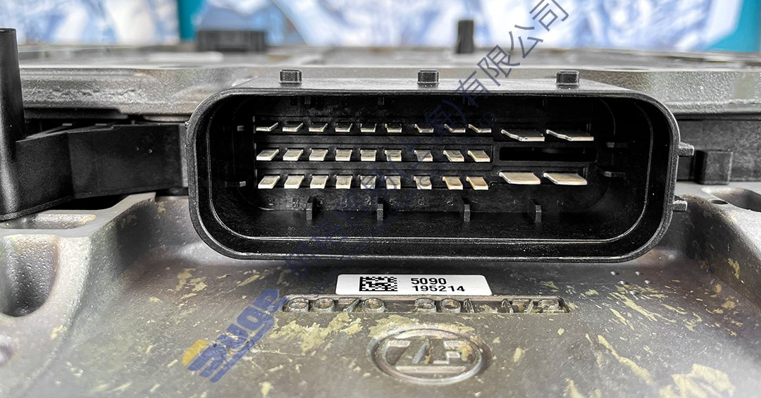 фото_20240115150606