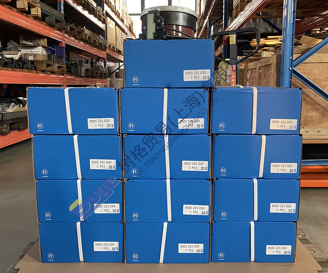 фото_20231114155308