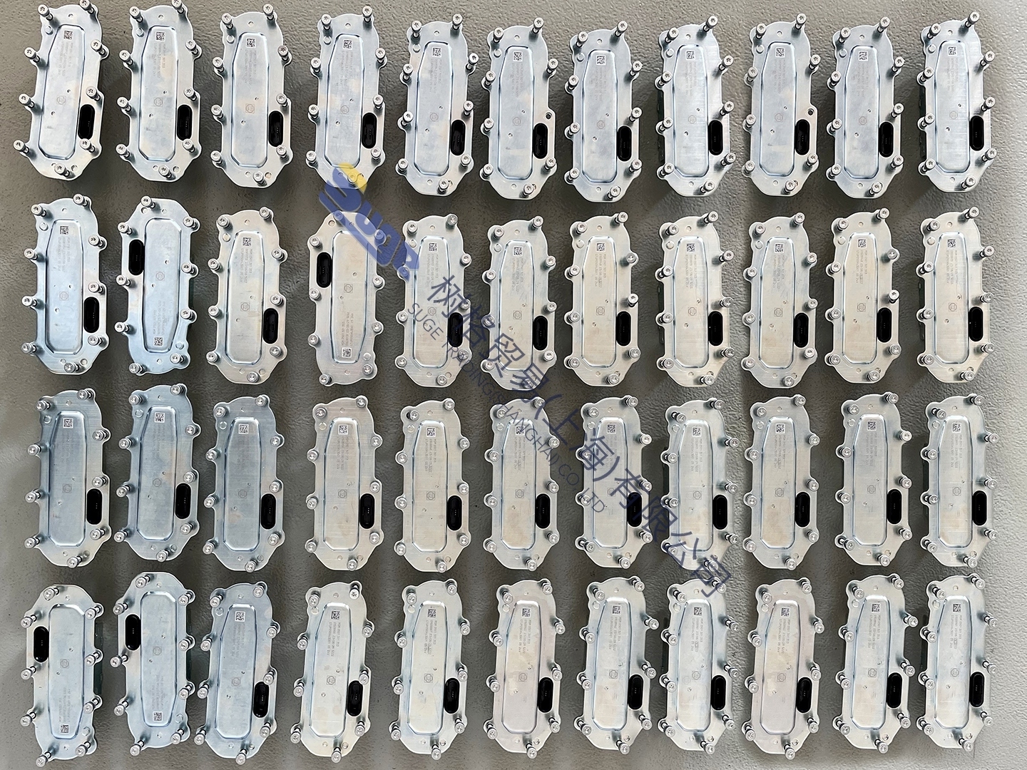 фото_20231114142855