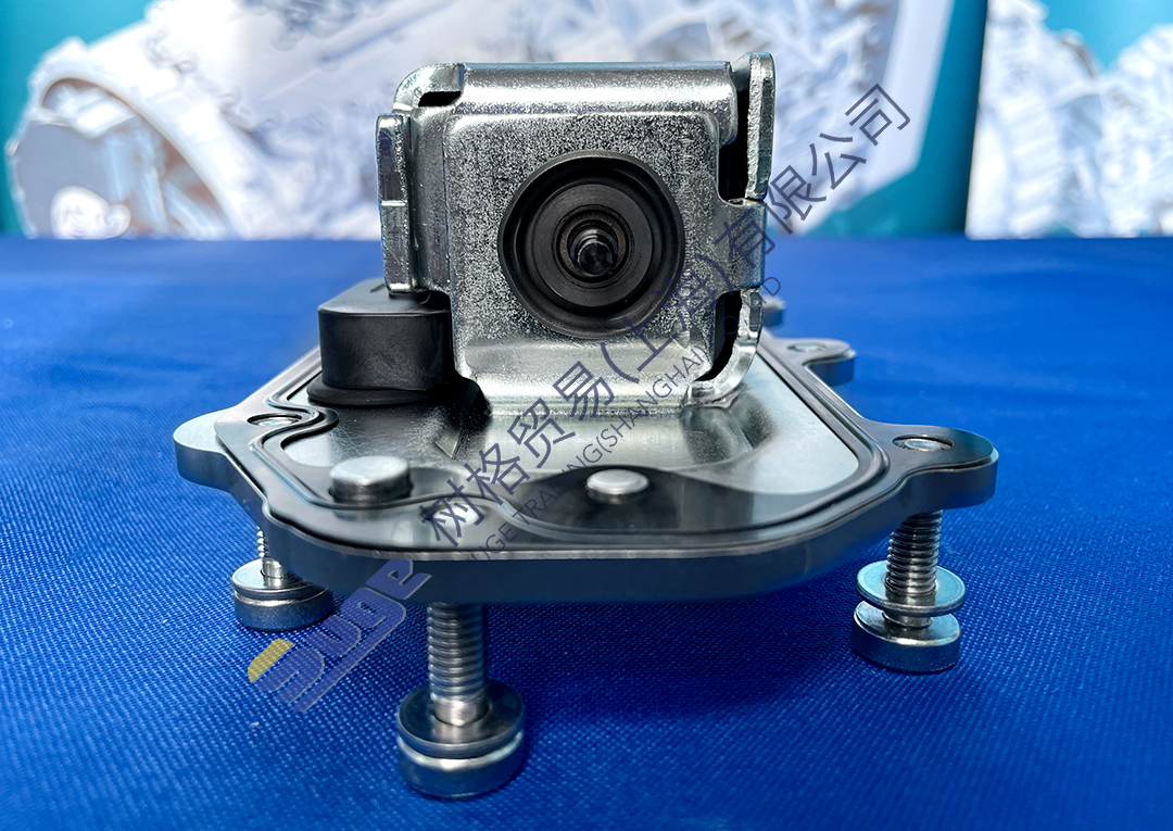 фото_20231114103340