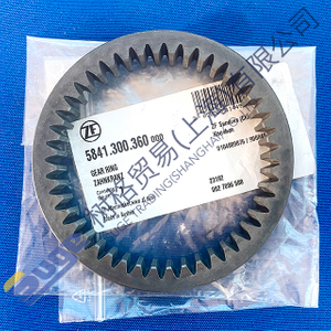 Запчасти раздаточной коробки ZF VG2700 Шестерня масляного насоса 5841 300 360