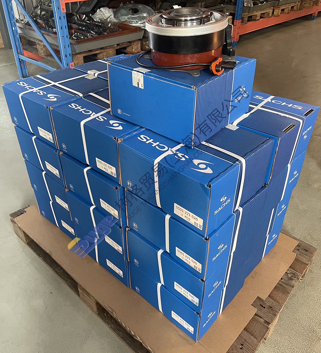 фото_20231114155320