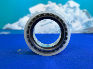 Zf mt-e-цилиндр оси цилиндр подшипник 0750 118 493