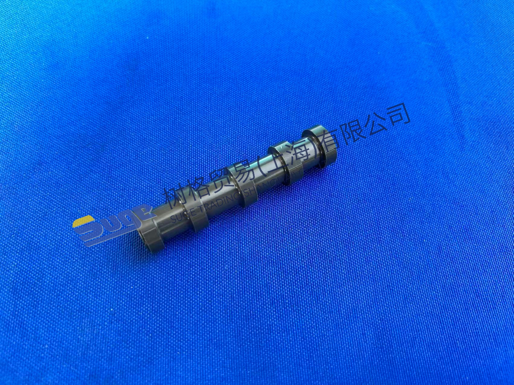 ZF 4WG200 Поршень 4644 306 383