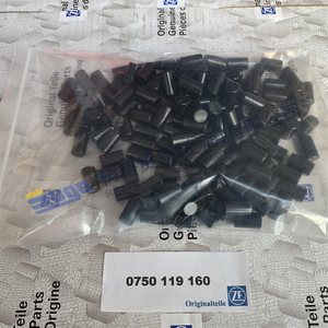 Детали коробки передач ZF ECOSPLIT4 PLANET GEAR ROLLER 0750 119 160