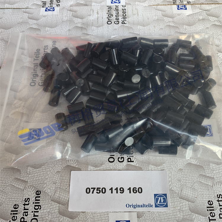 Детали коробки передач ZF ECOSPLIT4 PLANET GEAR ROLLER 0750 119 160