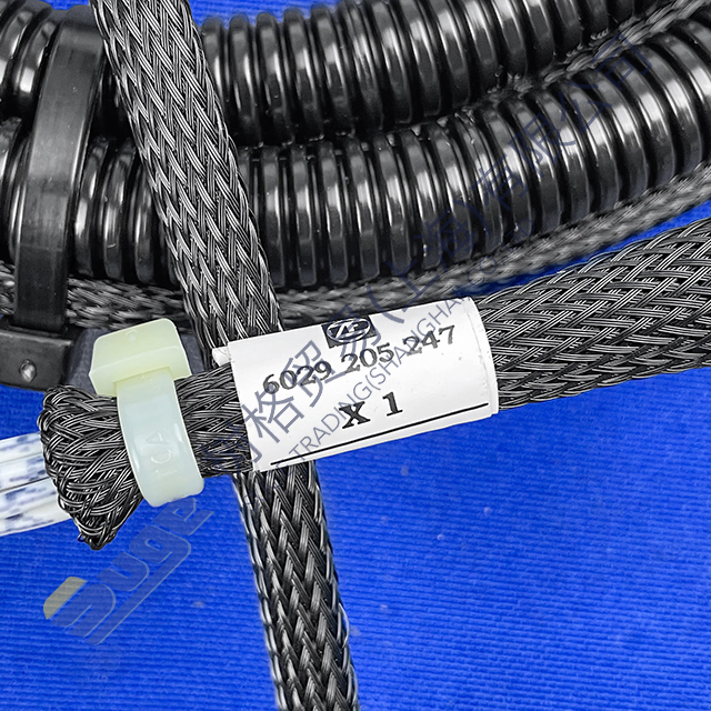 Жгут проводов ZF 4WG200 6029 205 247
