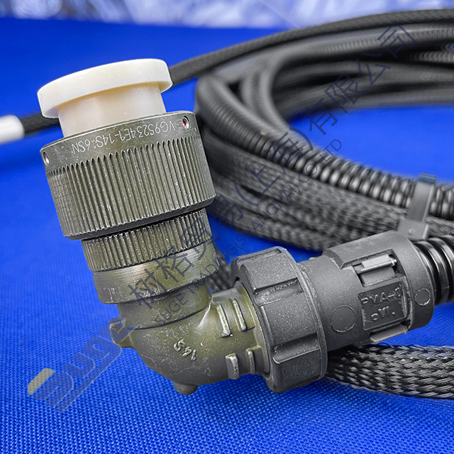 Жгут проводов ZF 4WG200 6029 205 247