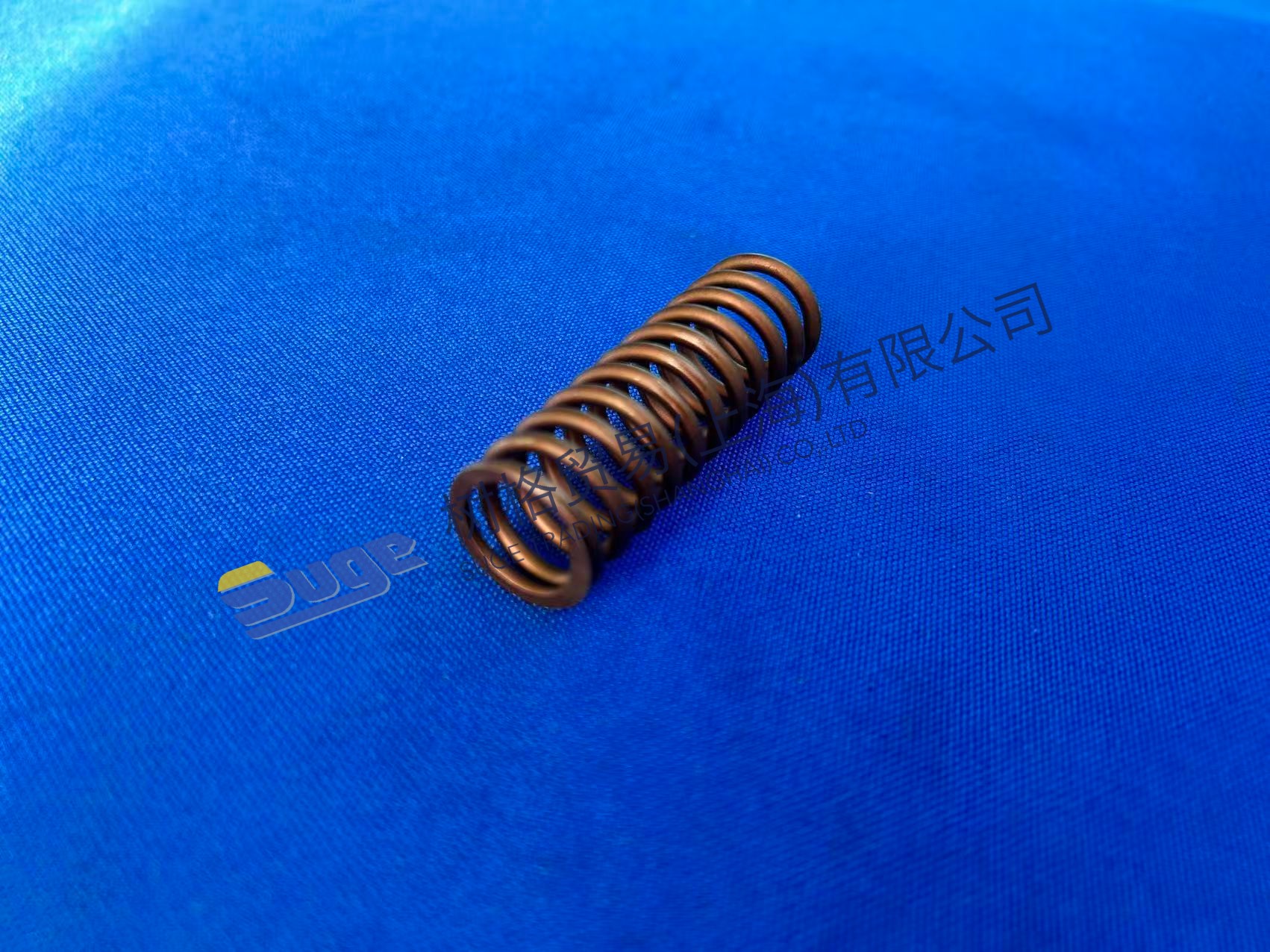 ZF 4WG200 Пружина сжатия 0732 041 352