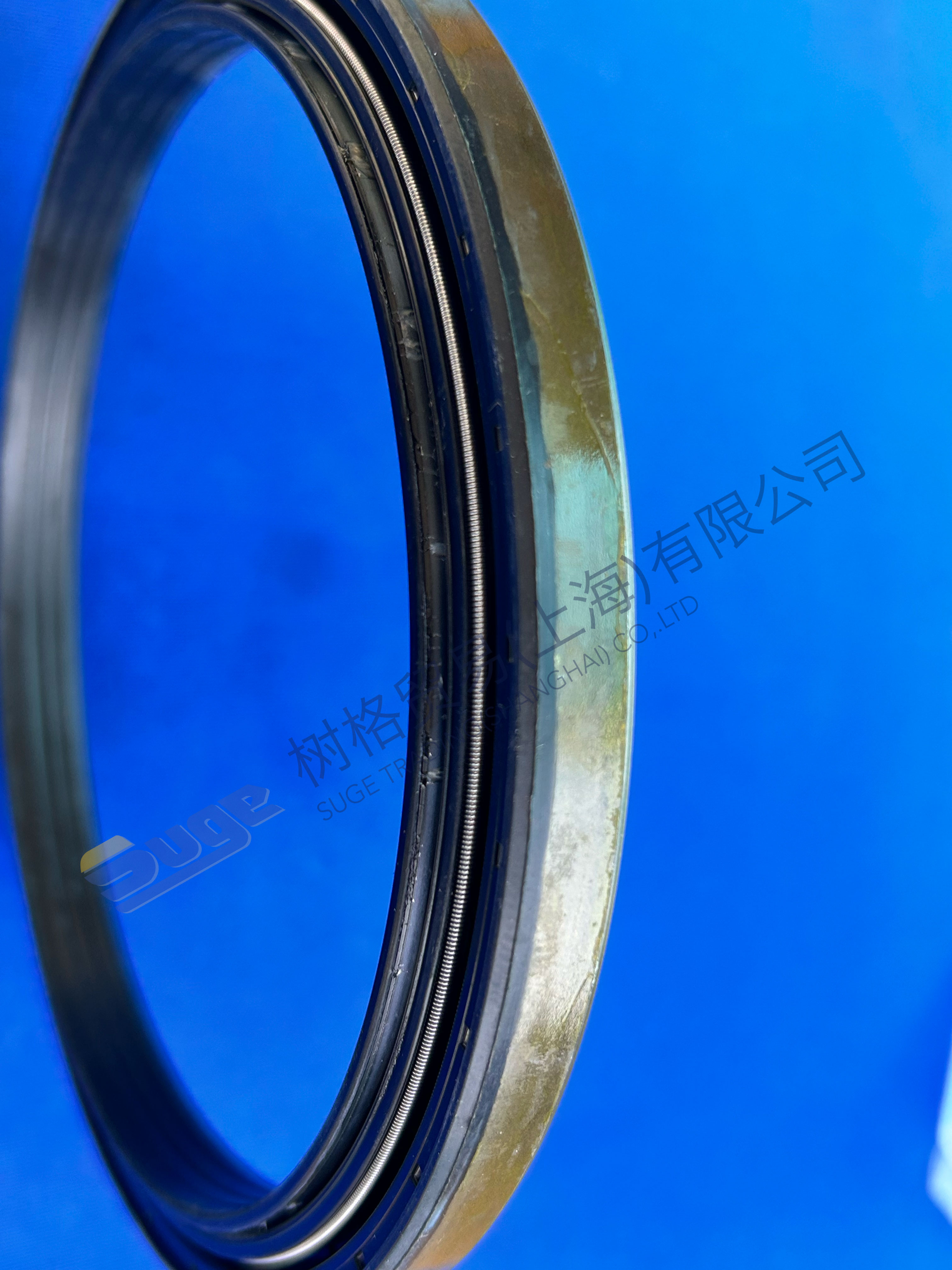 ZF MT-E-ось кассетное кольцо 0734 309 423