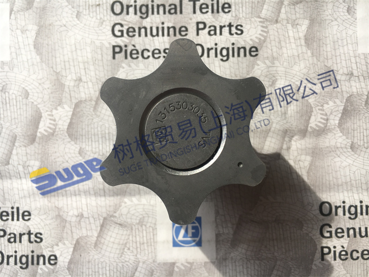 Детали коробки передач ZF ECOSPLIT4 PUMP GEARSHAFT 1314 202 039