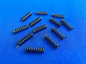 ZF MT-E-Exle Compression Spring 0732 042 895