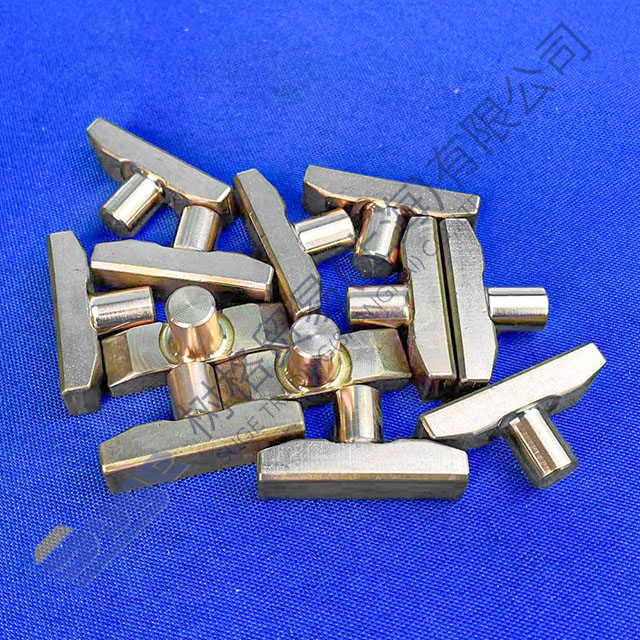 ZF 9s1310TO скользящая накладка коробки передач 1290 306 066