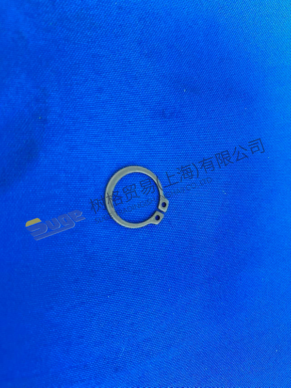 ZF 4WG200 Стопорное кольцо 0630 501 018