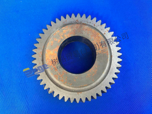ZF КОЛЕСНАЯ ШЕСТЕРНЯ 1310 303 069