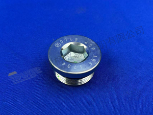 РЕЗЬБОВАЯ ПРОБКА ZF 0768 409 184