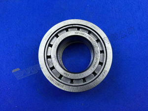 РОЛИКОВЫЙ ПОДШИПНИК ЦИЛИНДРА ZF 0735 410 139