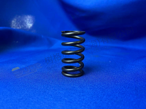 ПРУЖИНА СЖАТИЯ ZF 0732 040 255