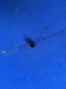 ZF 4BP230 ПОРШЕНЬ 4657 306 105