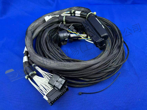 ZF КАБЕЛЬ ВНЕДОРОЖНЫЙ 6029 017 060