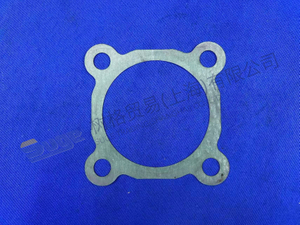 ПРОКЛАДКА ZF 6090 301 009