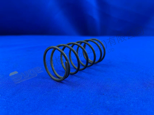 ПРУЖИНА СЖАТИЯ ZF 0732 040 765